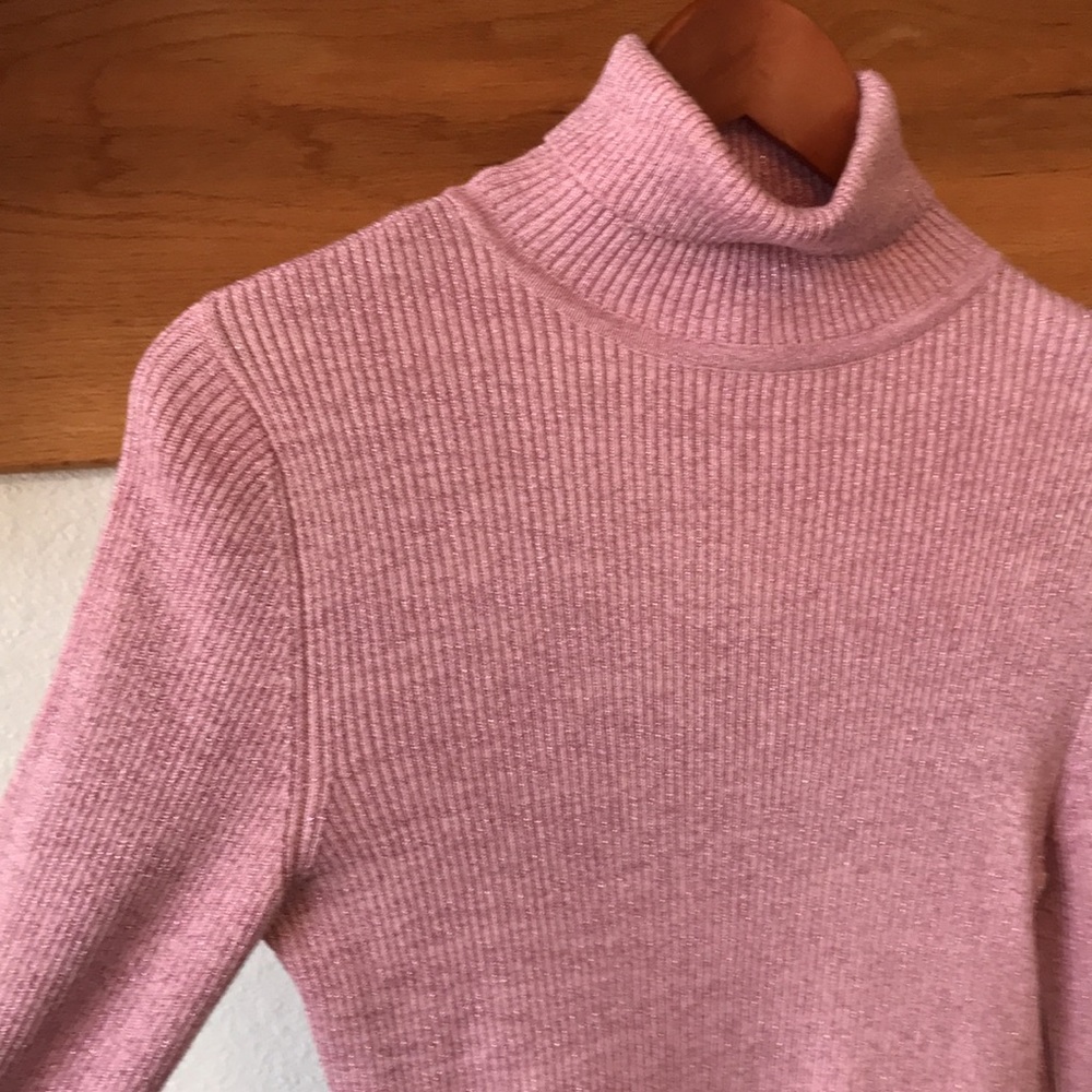 Worthington Turtleneck